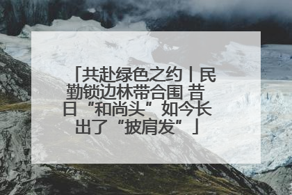共赴绿色之约丨民勤锁边林带合围 昔日“和尚头”如今长出了“披肩发”