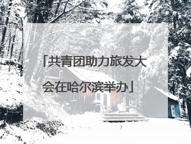 共青团助力旅发大会在哈尔滨举办