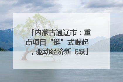 内蒙古通辽市：重点项目“链”式崛起，驱动经济新飞跃