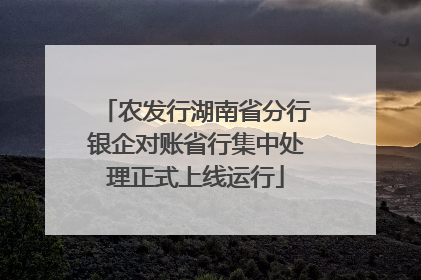 农发行湖南省分行银企对账省行集中处理正式上线运行