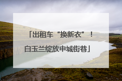 出租车“换新衣”！白玉兰绽放申城街巷