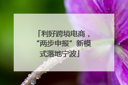 利好跨境电商，“两步申报”新模式落地宁波