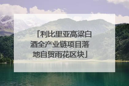 利比里亚高粱白酒全产业链项目落地自贸雨花区块