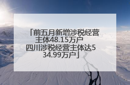 前五月新增涉税经营主体48.15万户 四川涉税经营主体达534.99万户