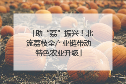 助“荔”振兴！北流荔枝全产业链带动特色农业升级