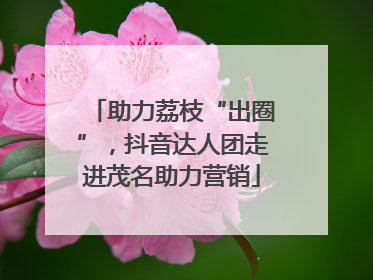 助力荔枝“出圈”，抖音达人团走进茂名助力营销