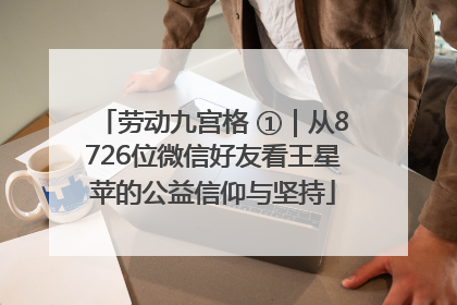 劳动九宫格 ①｜从8726位微信好友看王星苹的公益信仰与坚持