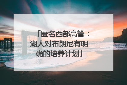匿名西部高管：湖人对布朗尼有明确的培养计划