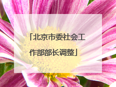 北京市委社会工作部部长调整
