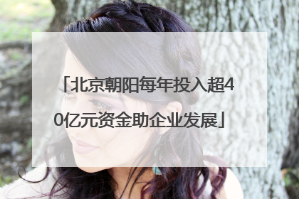 北京朝阳每年投入超40亿元资金助企业发展