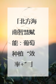 北方海南智慧赋能：葡萄种植“效率+”