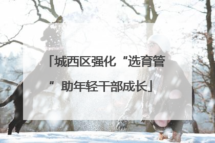 城西区强化“选育管”助年轻干部成长