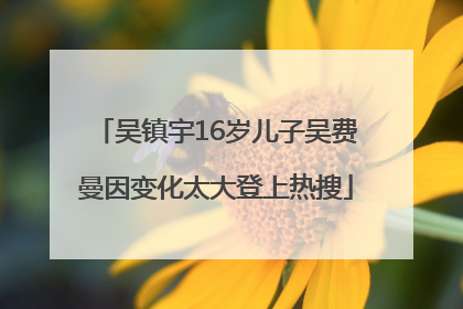 吴镇宇16岁儿子吴费曼因变化太大登上热搜