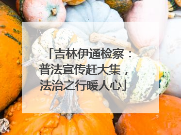 吉林伊通检察：普法宣传赶大集，法治之行暖人心