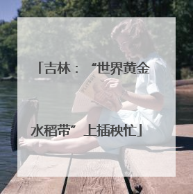 吉林：“世界黄金水稻带”上插秧忙
