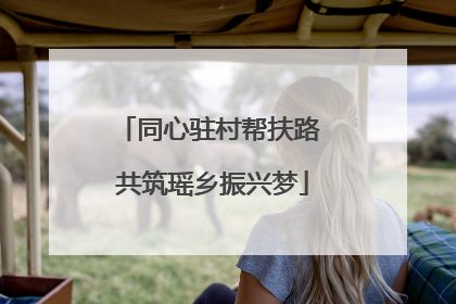 同心驻村帮扶路 共筑瑶乡振兴梦