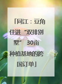 同江：豆角住进“双排别墅” 30亩种植基地的跨国订单