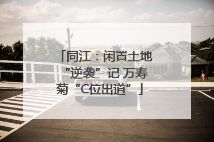 同江：闲置土地“逆袭”记 万寿菊“C位出道”