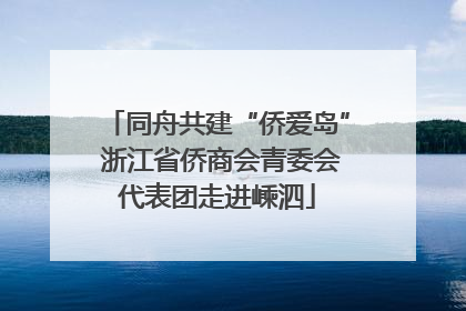 同舟共建“侨爱岛” 浙江省侨商会青委会代表团走进嵊泗