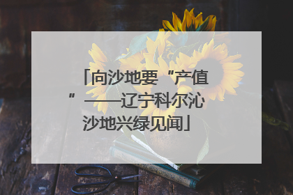 向沙地要“产值”——辽宁科尔沁沙地兴绿见闻