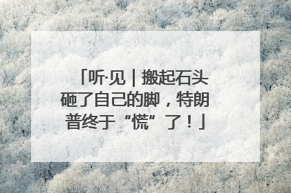 听·见｜搬起石头砸了自己的脚，特朗普终于“慌”了！