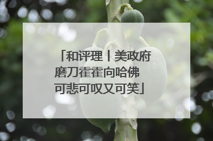 和评理丨美政府磨刀霍霍向哈佛 可悲可叹又可笑
