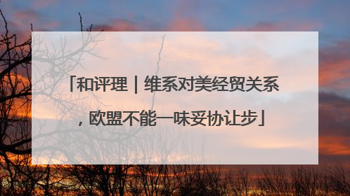 和评理｜维系对美经贸关系，欧盟不能一味妥协让步