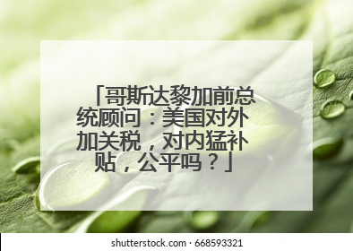 哥斯达黎加前总统顾问：美国对外加关税，对内猛补贴，公平吗？