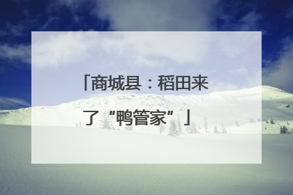 商城县：稻田来了“鸭管家”
