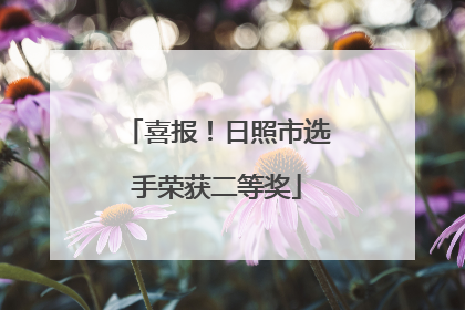 喜报！日照市选手荣获二等奖