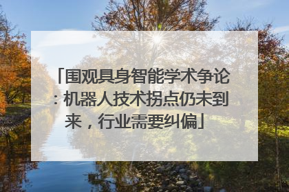 围观具身智能学术争论：机器人技术拐点仍未到来，行业需要纠偏