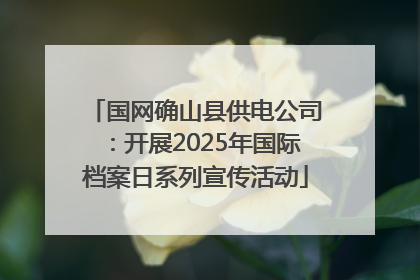 国网确山县供电公司：开展2025年国际档案日系列宣传活动