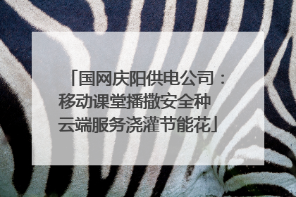 国网庆阳供电公司：移动课堂播撒安全种 云端服务浇灌节能花