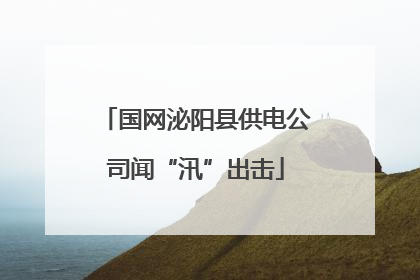 国网泌阳县供电公司闻“汛”出击