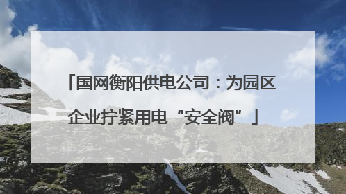 国网衡阳供电公司：为园区企业拧紧用电“安全阀”