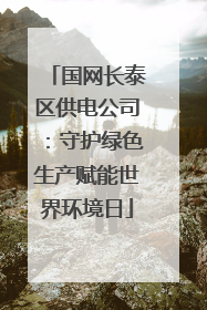 国网长泰区供电公司：守护绿色生产赋能世界环境日