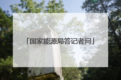 国家能源局答记者问