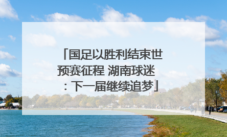 国足以胜利结束世预赛征程 湖南球迷：下一届继续追梦