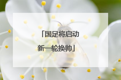国足将启动新一轮换帅