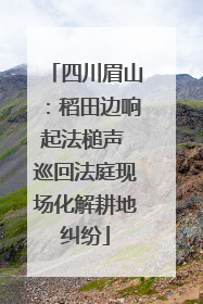 四川眉山：稻田边响起法槌声 巡回法庭现场化解耕地纠纷