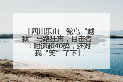 四川乐山一鸵鸟“越狱”马路狂奔，目击者：时速超40码，还对我“笑”了下