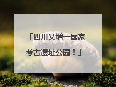 四川又增一国家考古遗址公园！