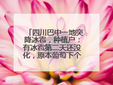 四川巴中一地突降冰雹，种植户：有冰雹第二天还没化，原本葡萄下个月上市，现在全被打落