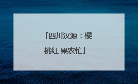 四川汉源：樱桃红 果农忙