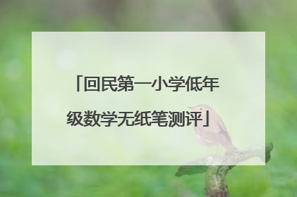 回民第一小学低年级数学无纸笔测评