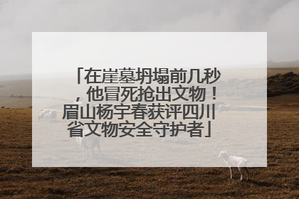在崖墓坍塌前几秒，他冒死抢出文物！眉山杨宇春获评四川省文物安全守护者