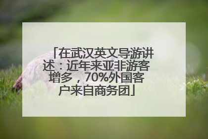 在武汉英文导游讲述：近年来亚非游客增多，70%外国客户来自商务团