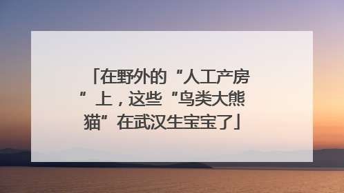 在野外的“人工产房”上，这些“鸟类大熊猫”在武汉生宝宝了