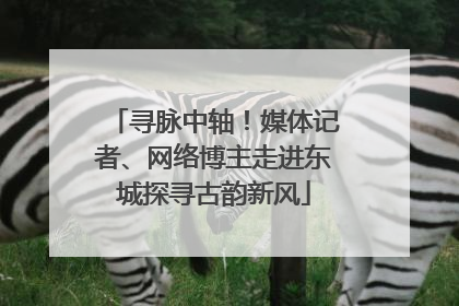 寻脉中轴！媒体记者、网络博主走进东城探寻古韵新风