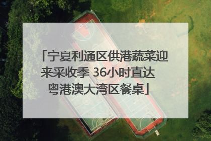宁夏利通区供港蔬菜迎来采收季 36小时直达粤港澳大湾区餐桌